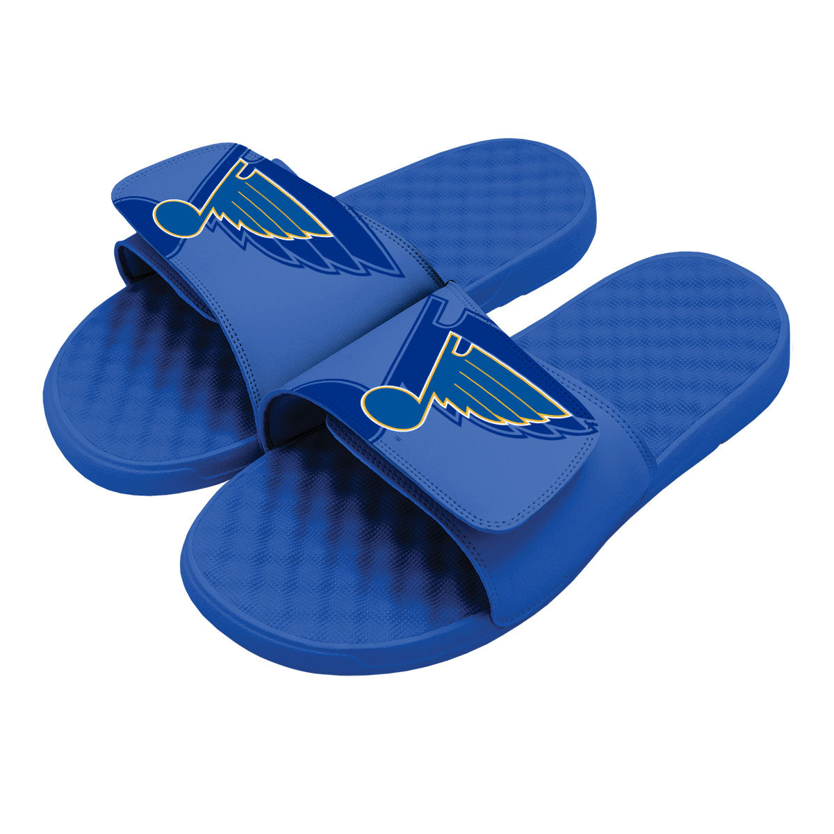 St Louis Blues OT Slides