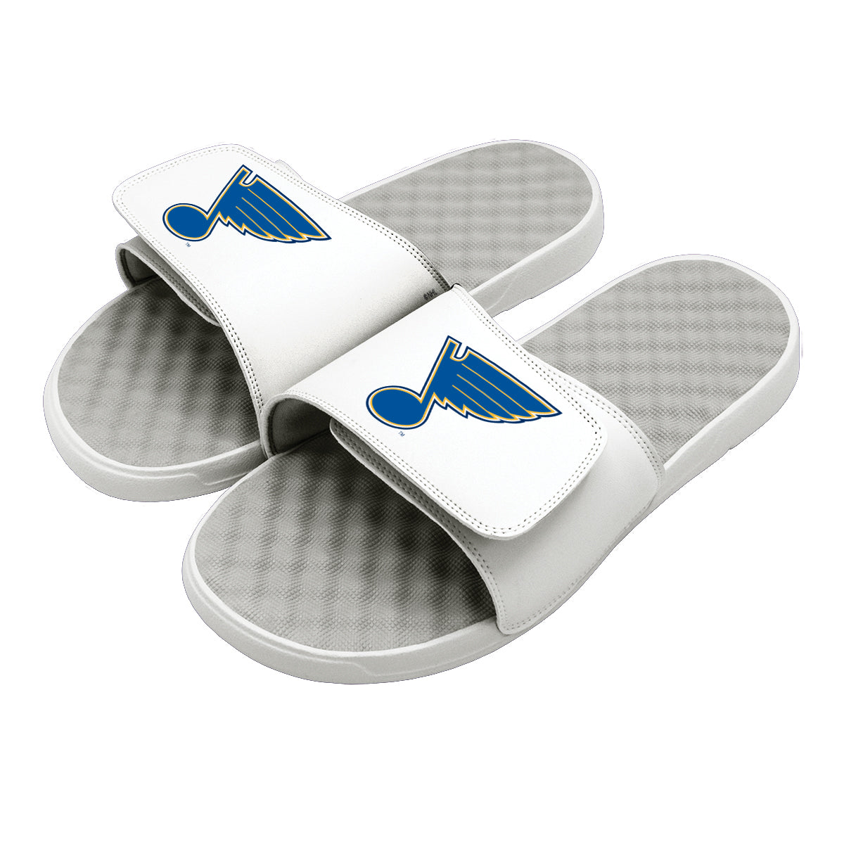 St Louis Blues Primary Slides