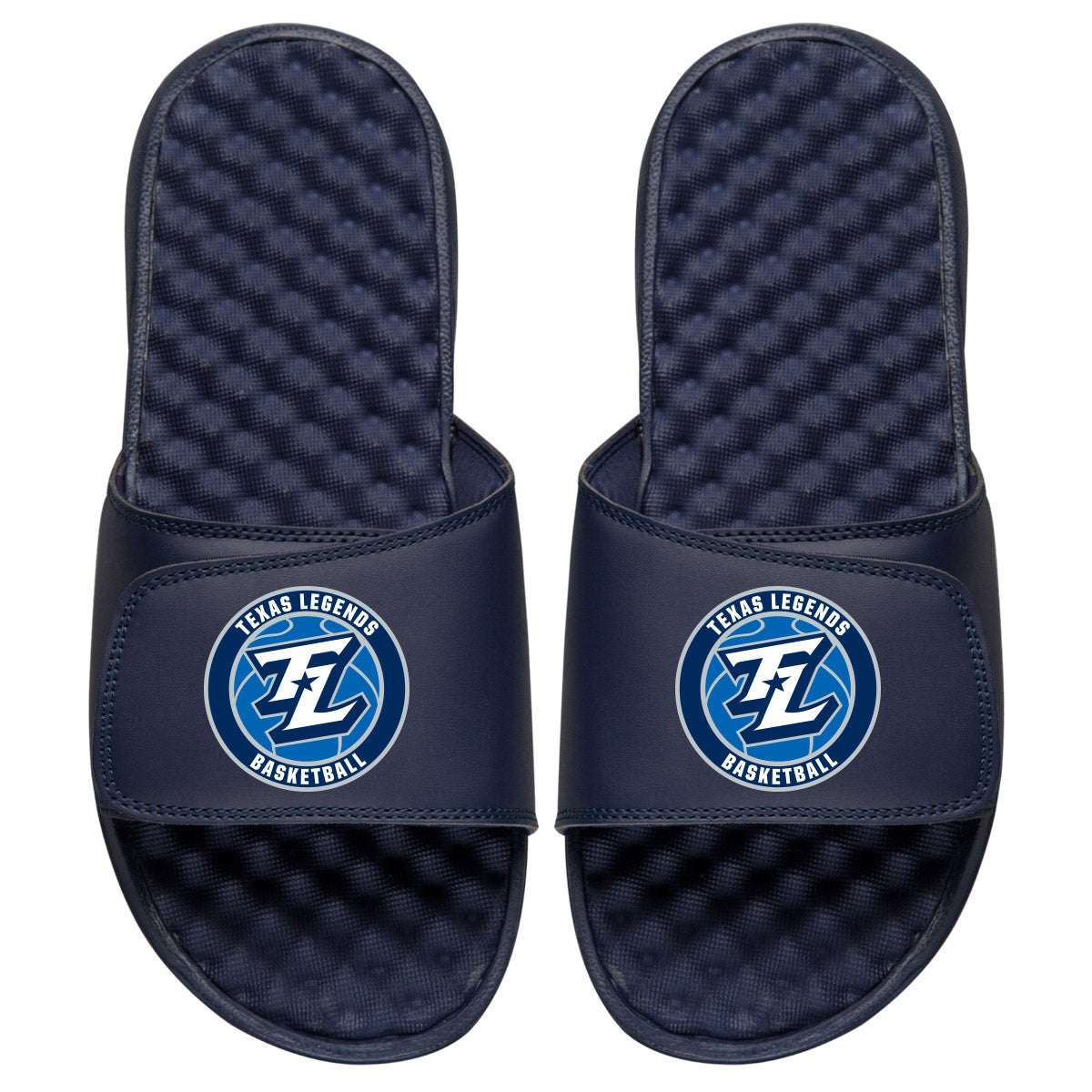 Texas Legends Primary Slides