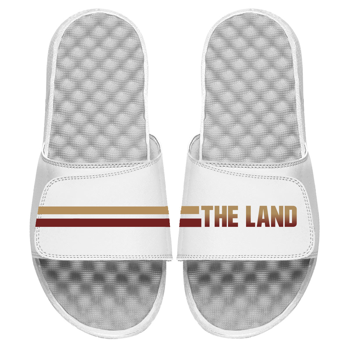 The Land- Wine/Gold Slides