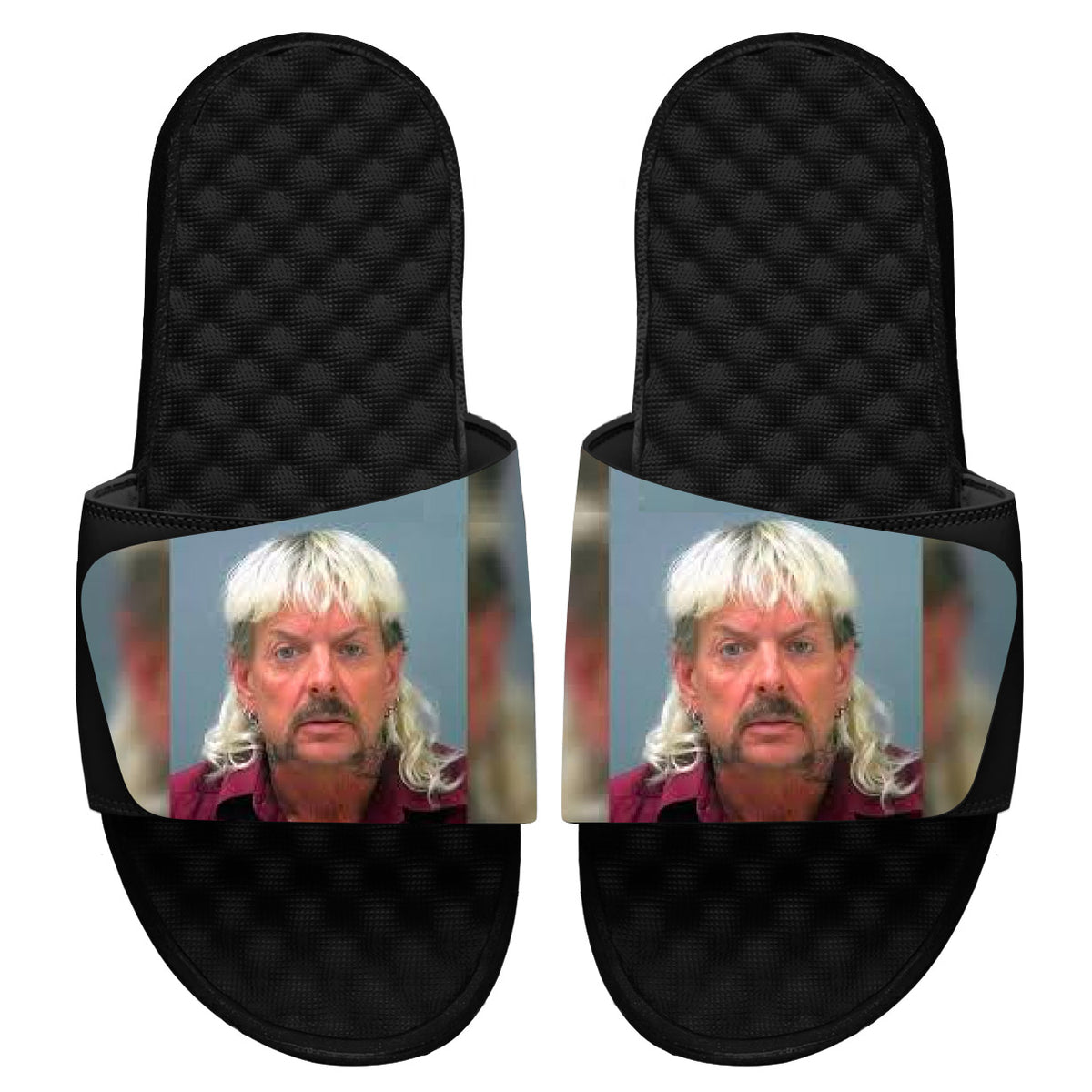 Tiger King Mug Shot Slides