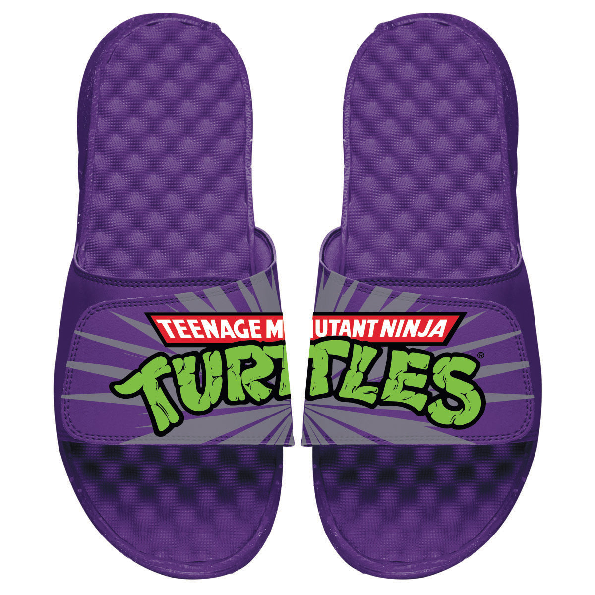 TMNT Purple Slides