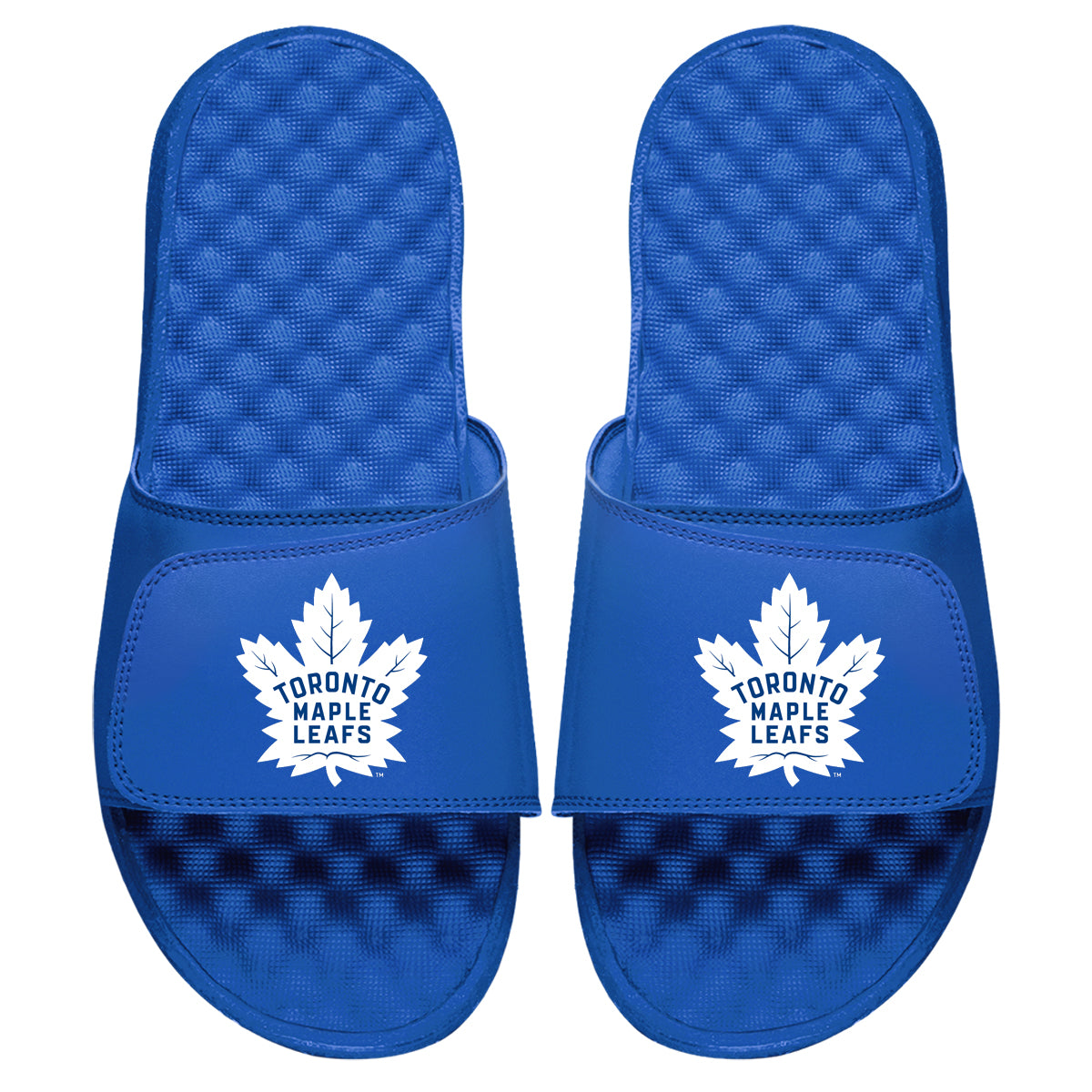 Toronto Maple Leafs Primary Slides