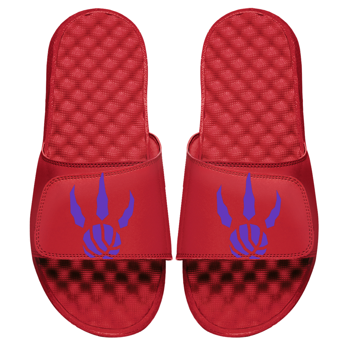 Toronto Raptors Claw Slides