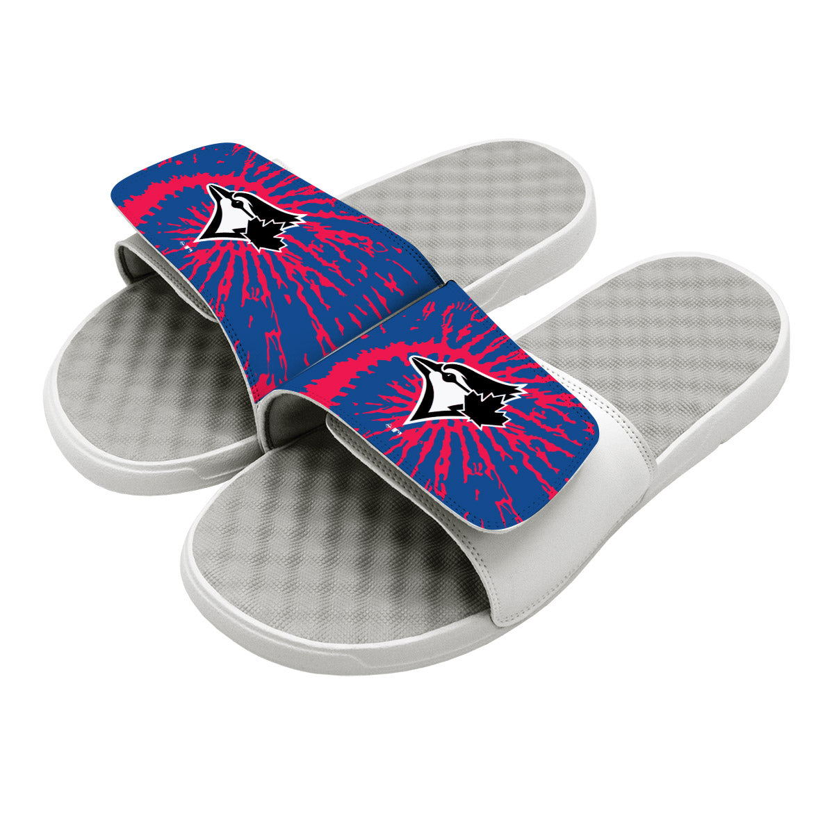Toronto Blue Jays Slides