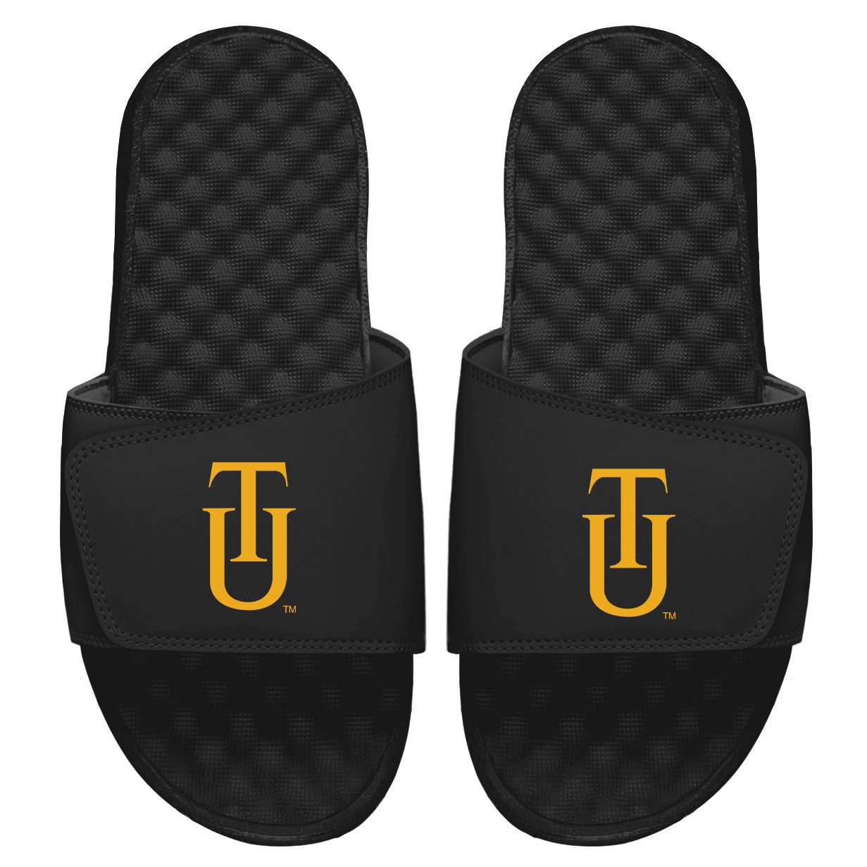 Tuskegee Logo Slides