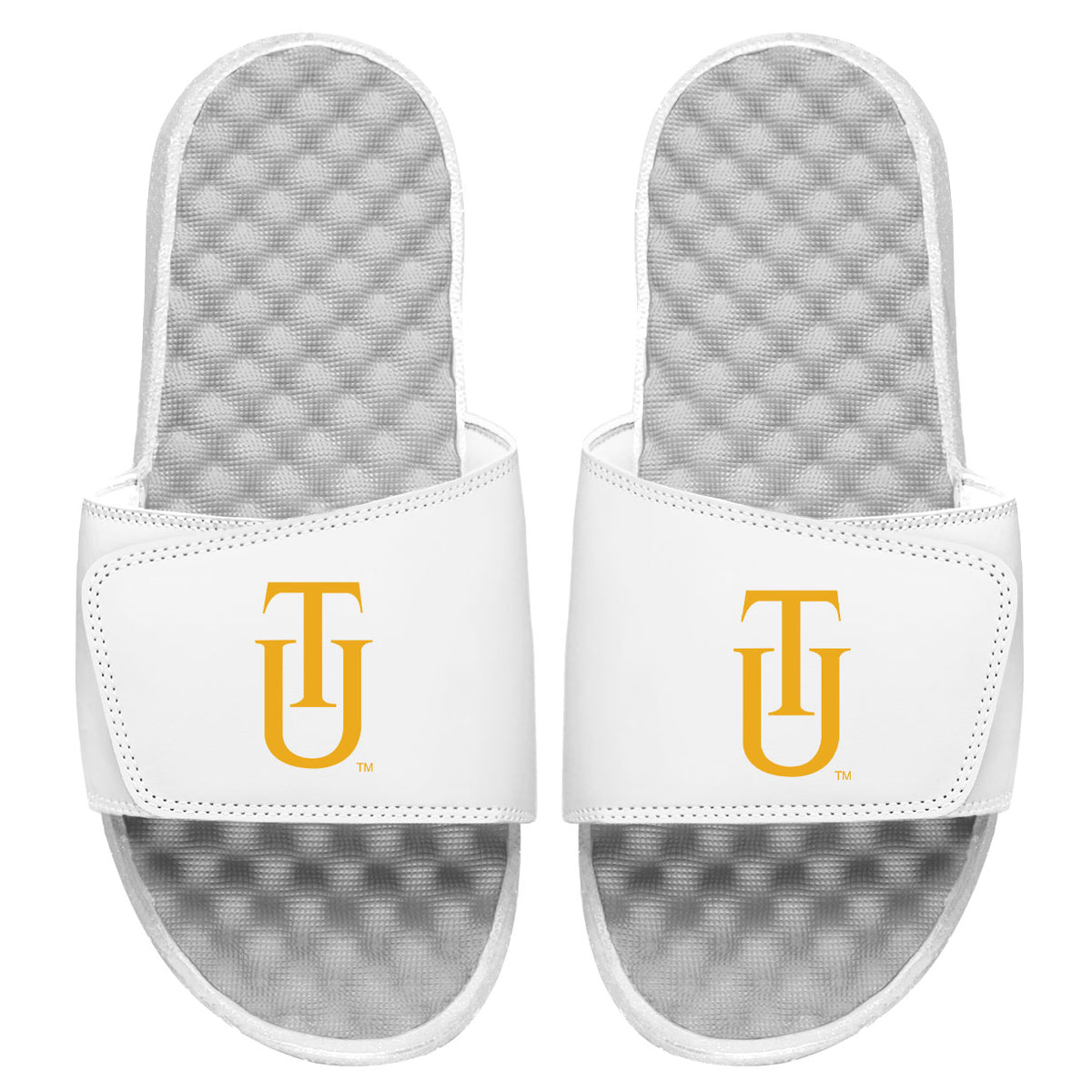 Tuskegee Logo Slides