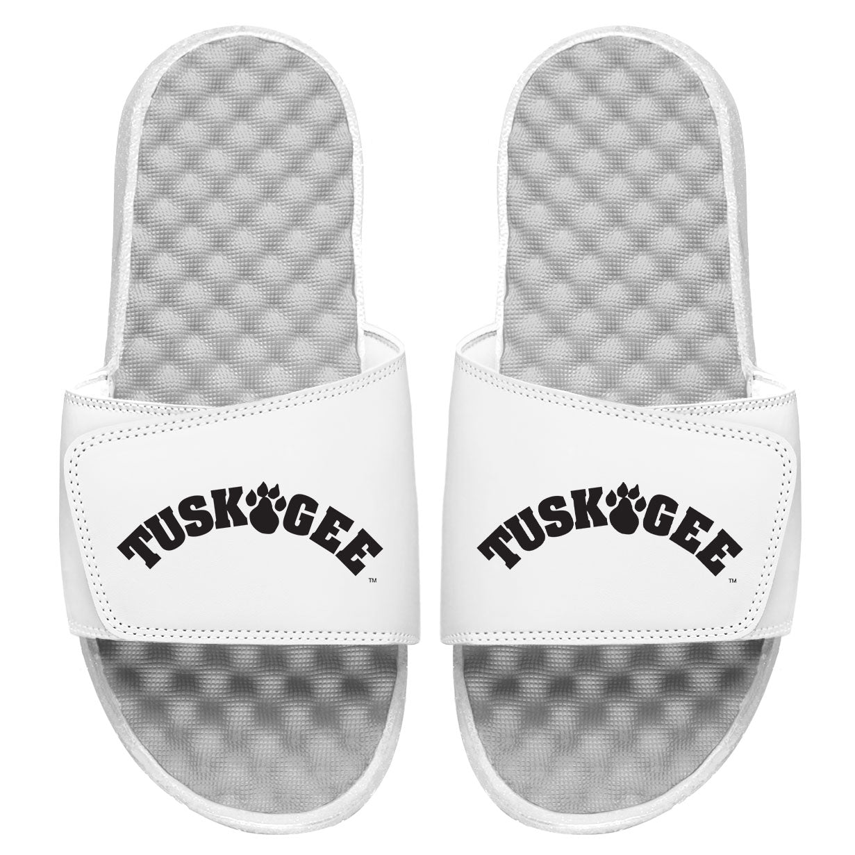 Tuskegee Wordmark Slides