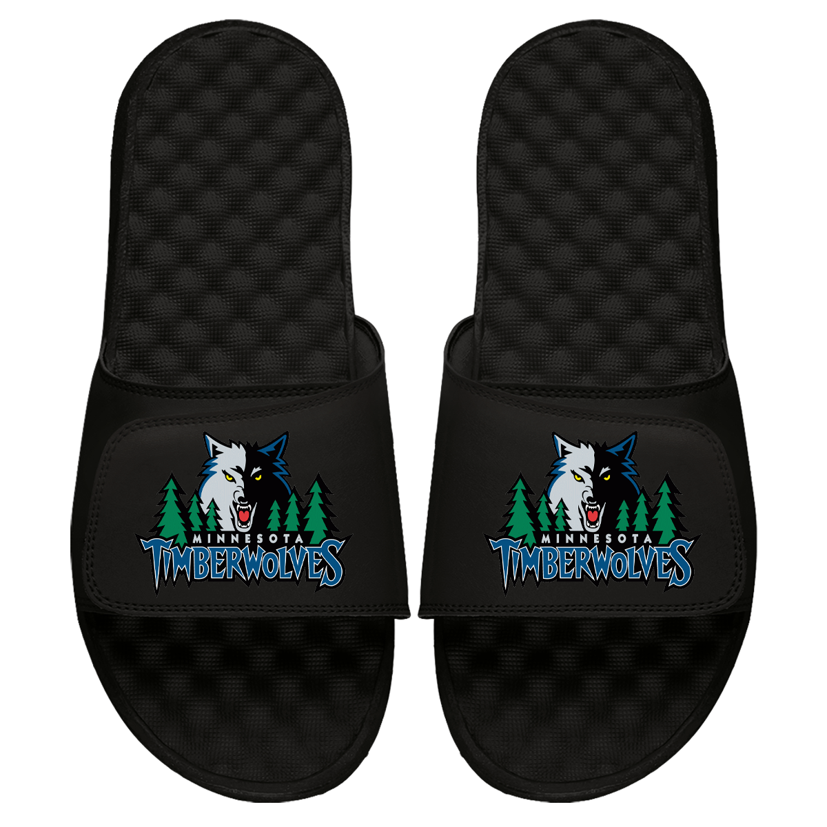 Minnesota Timberwolves HWC Primary Slides