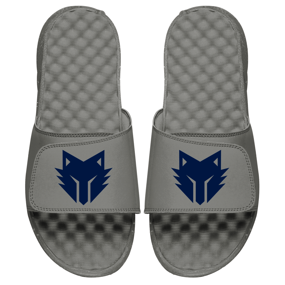 T-Wolves Gaming Primary Slides