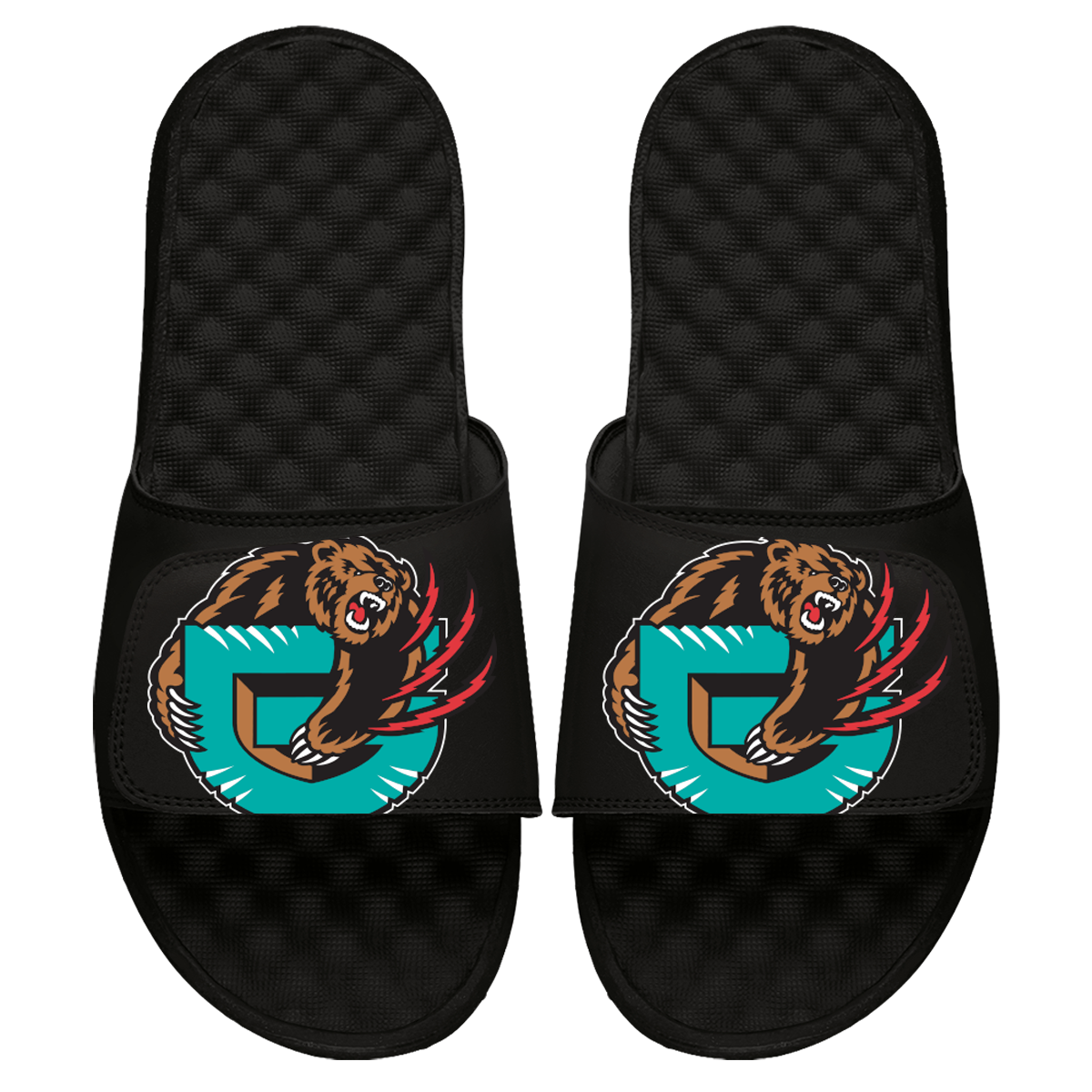 Vancouver Grizzlies Bear Slides