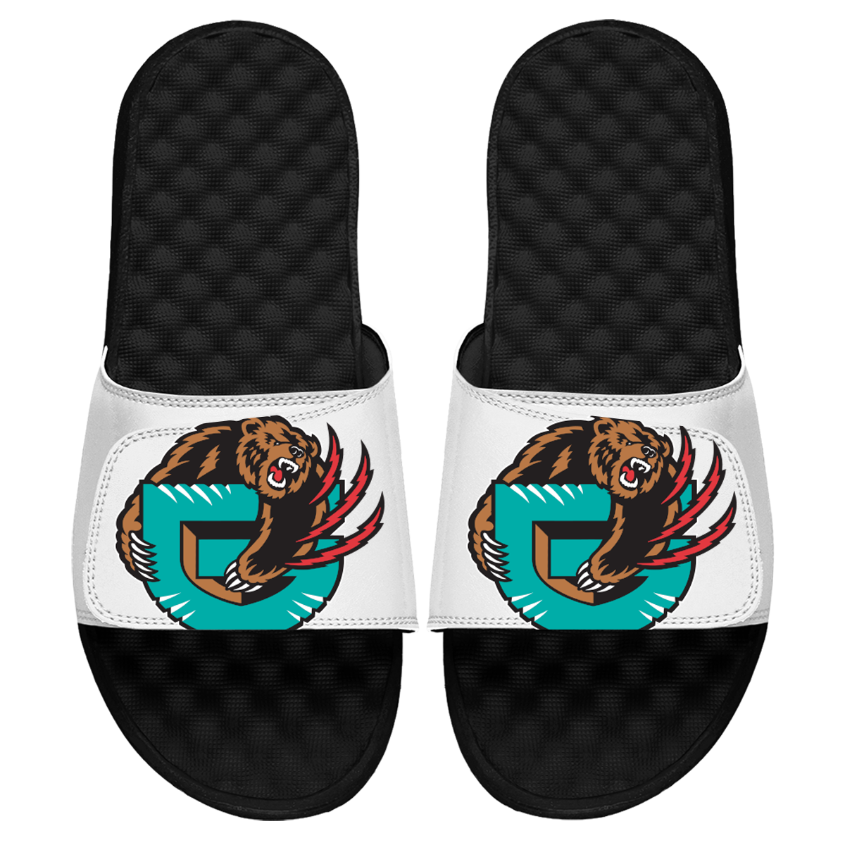 Vancouver Grizzlies Bear Slides