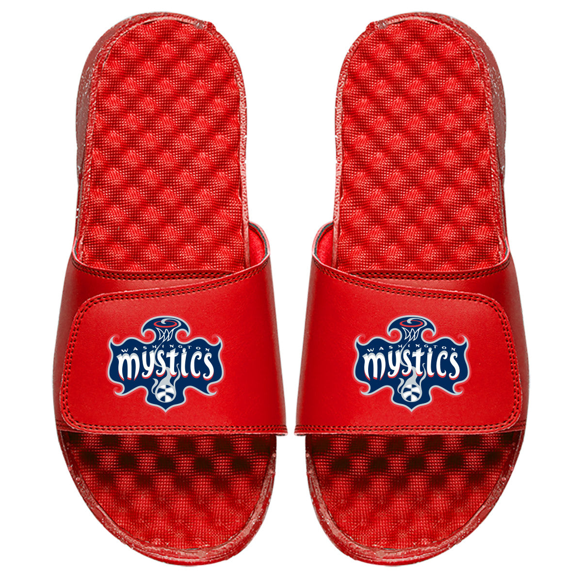 Washington Mystic Primary Slides