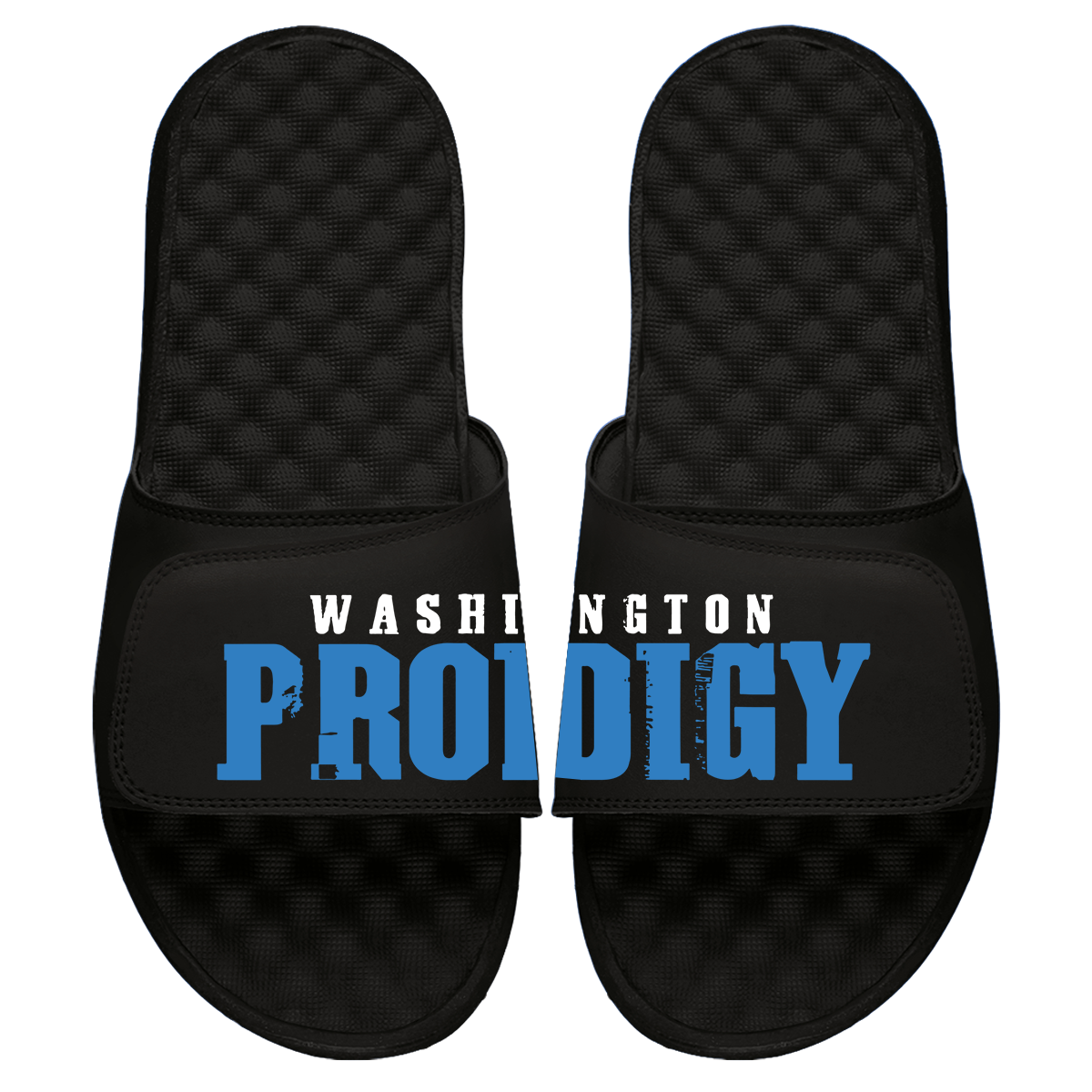 Washington Prodigy Slides