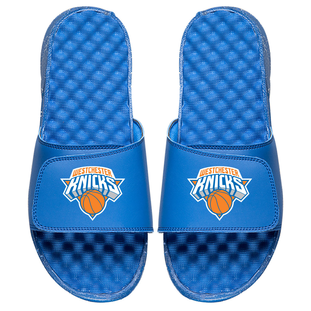 Westchester Knicks Slides