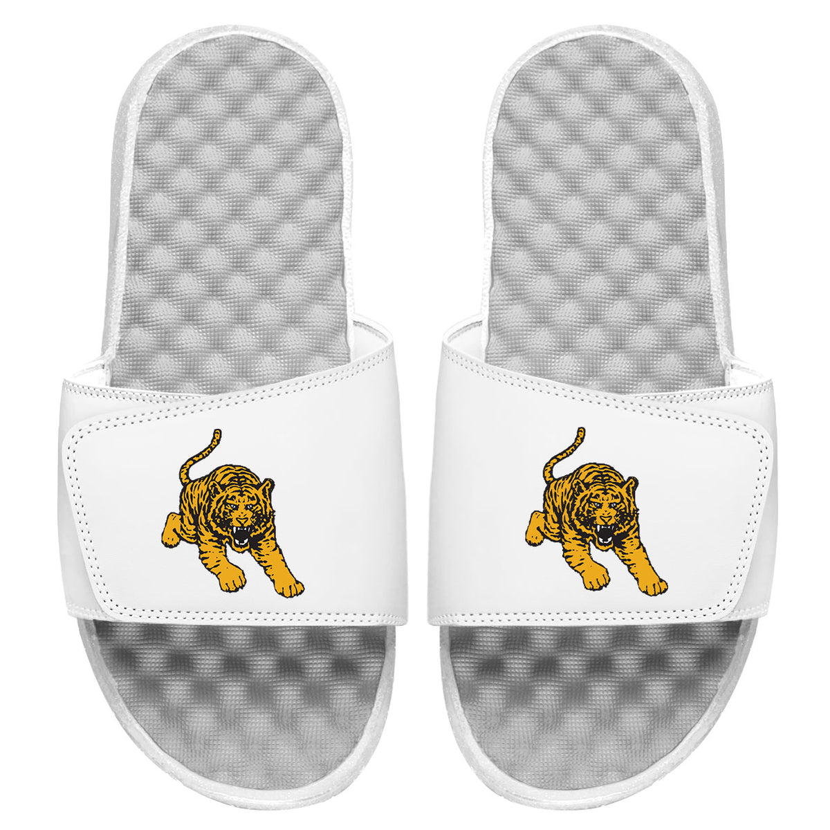 Tuskegee Tiger Slides