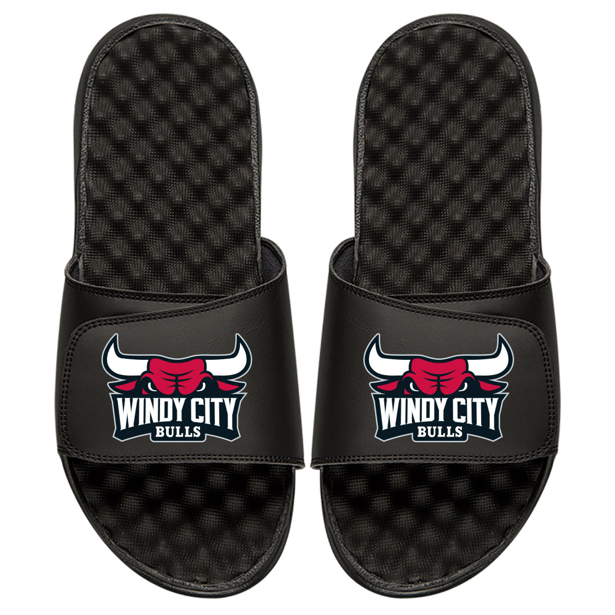 Windy City Bulls Slides