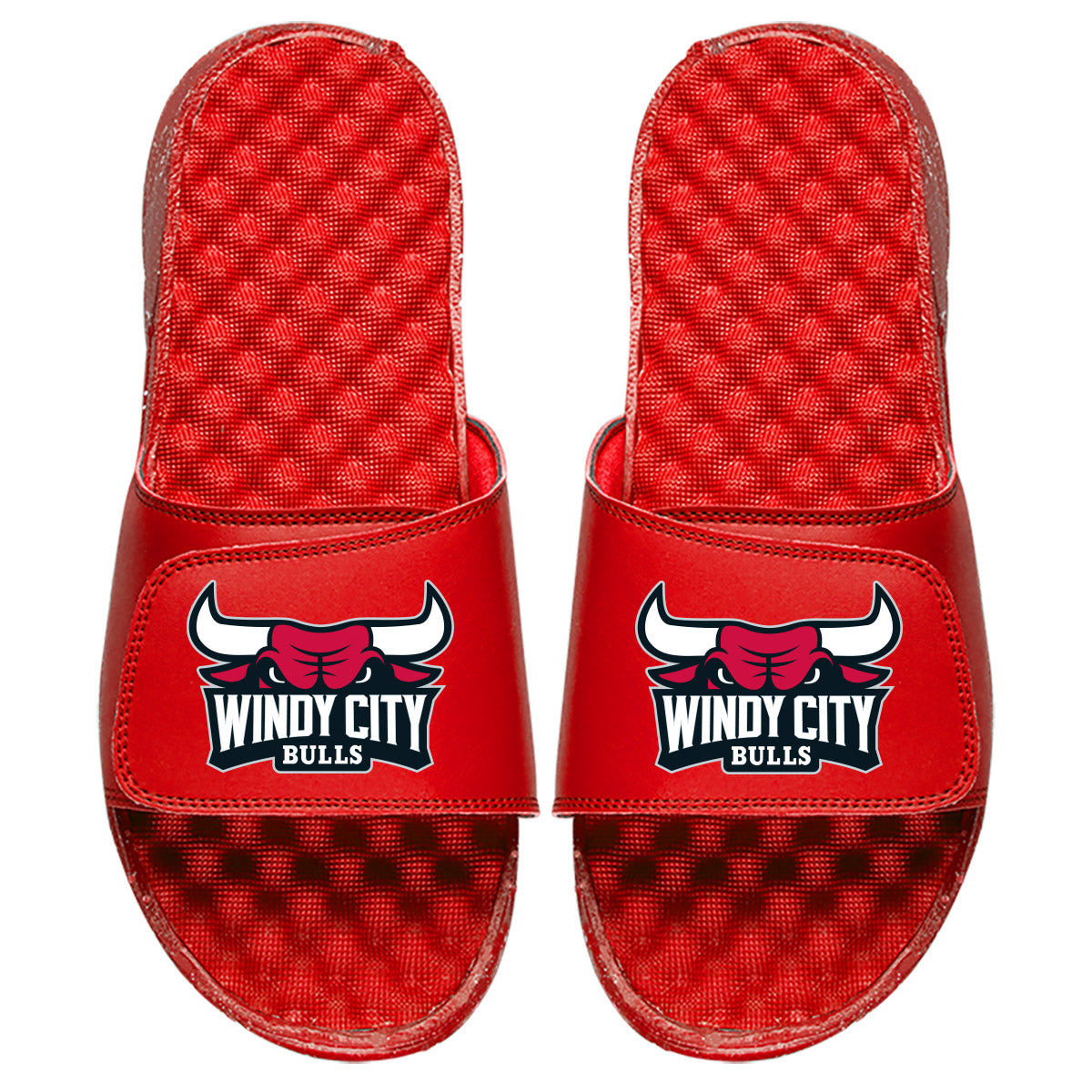 Windy City Bulls Slides