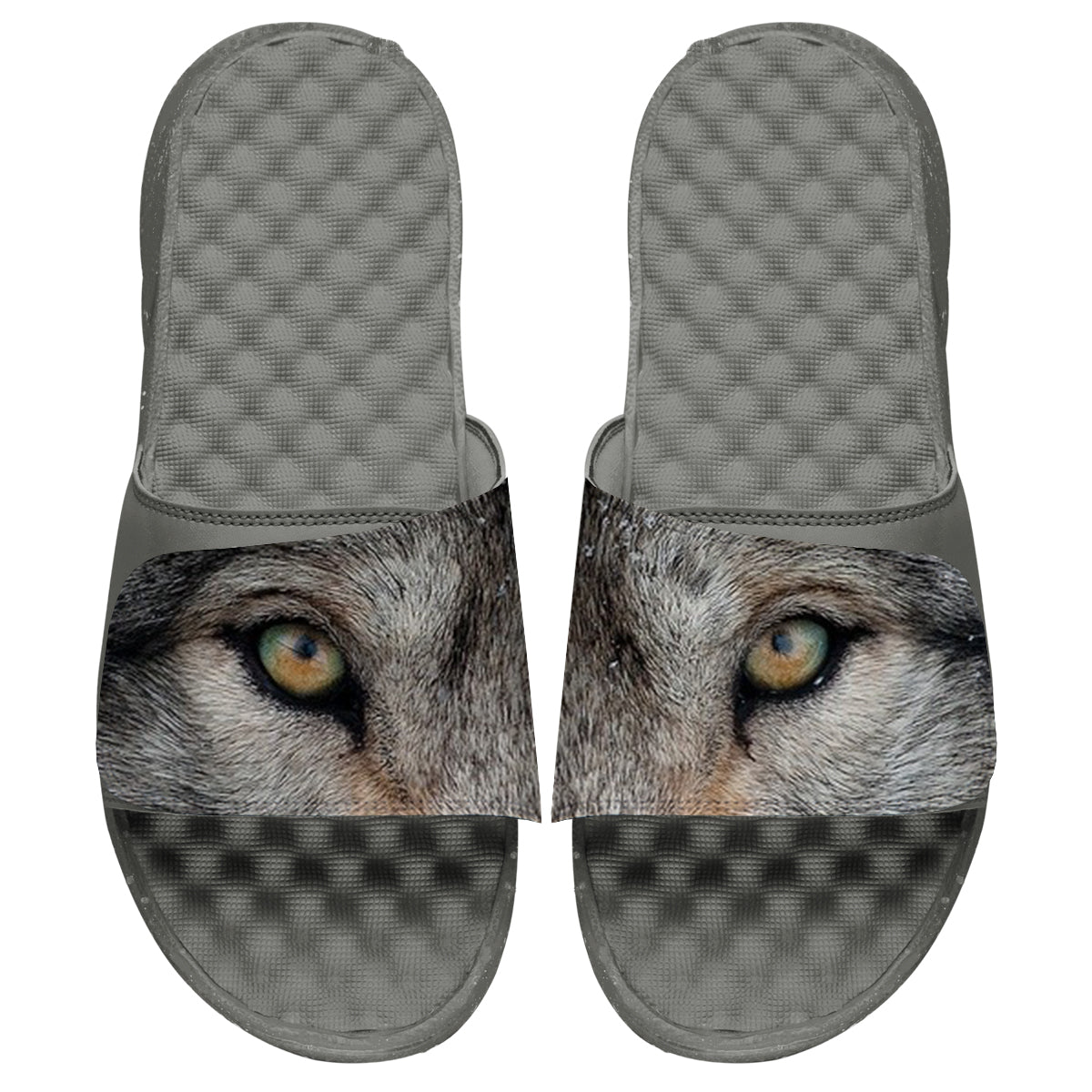 Wolf Eyes Slides