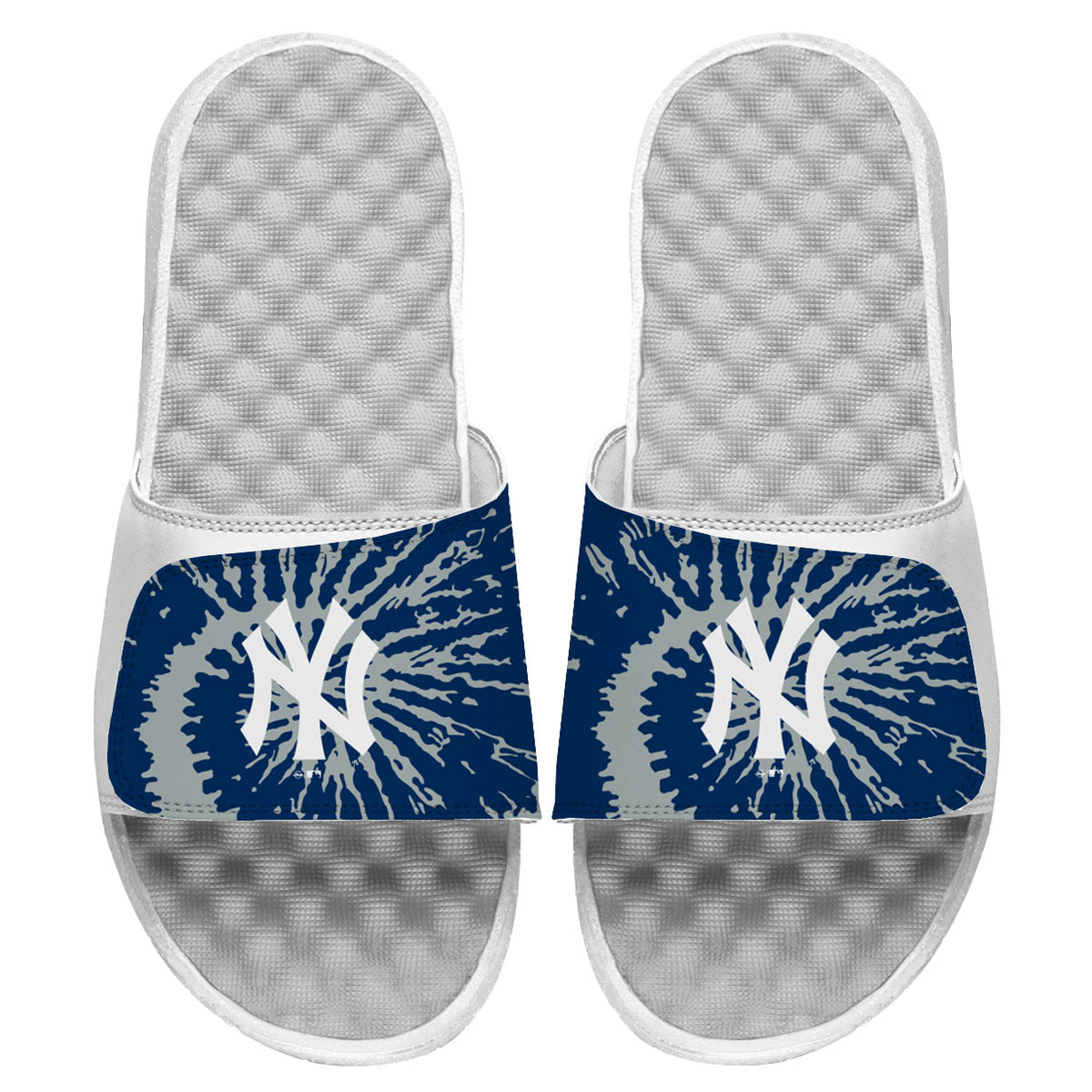 New York Yankees Slides